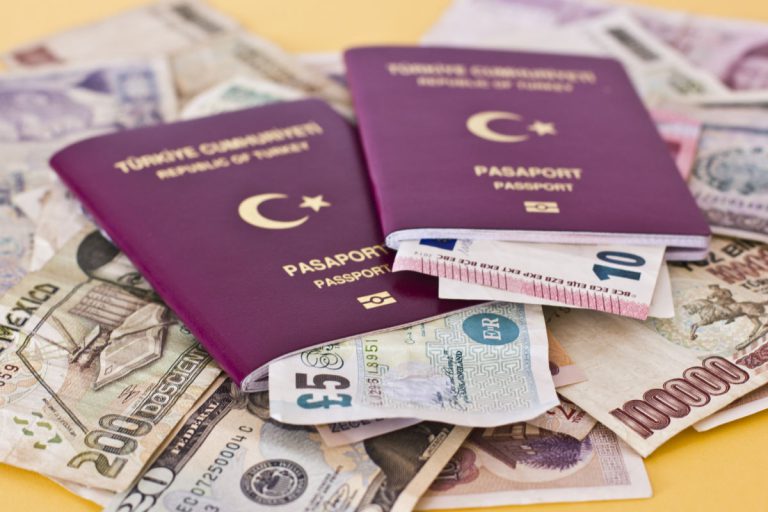 pasaport vize