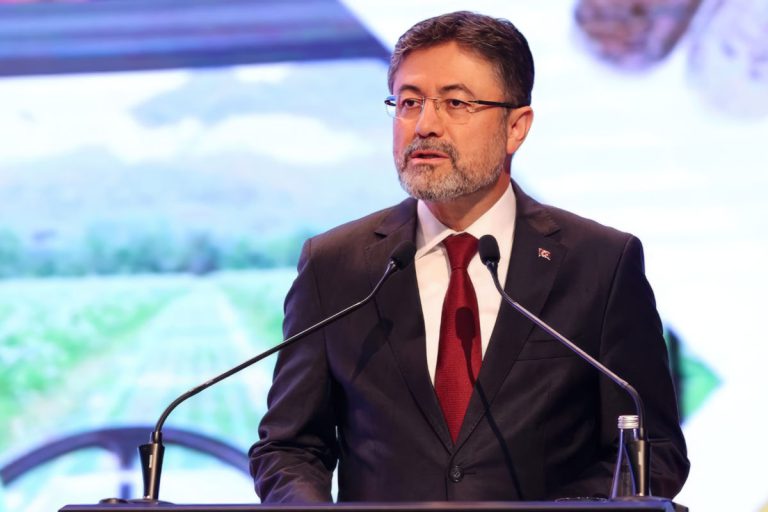 Tohumların ekonomiye katkısı 500 milyon $ 