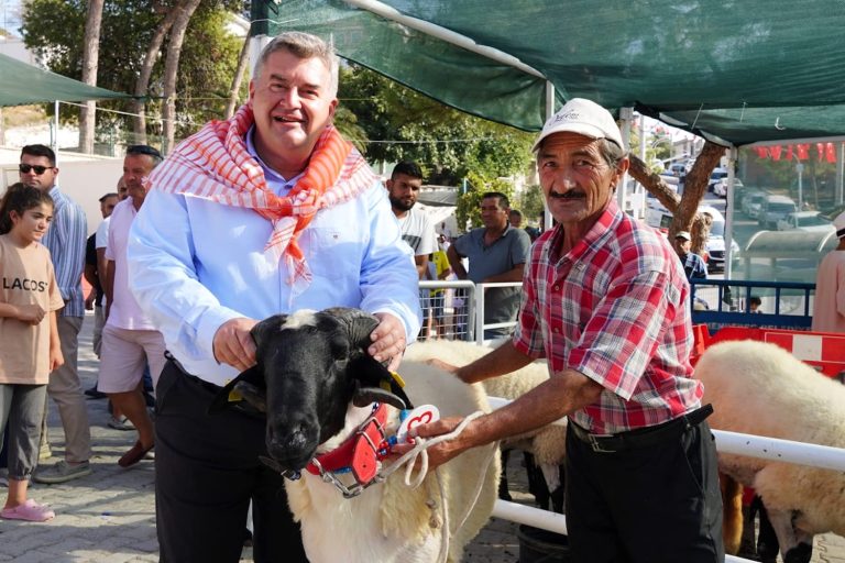 ovacık festival