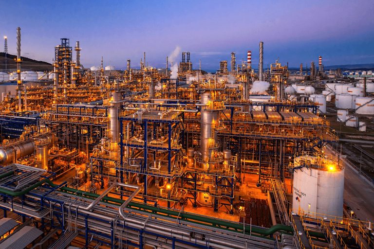 Egeli 41 firmadan İSO 500 başarısı