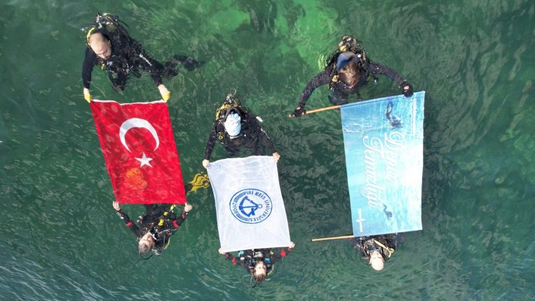 deniz dip temizliği