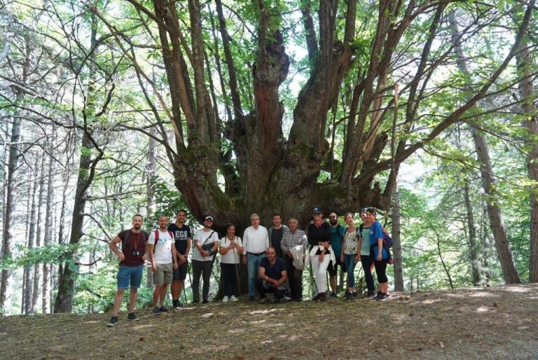 EÜ’nün Efeler Yolu Projesi’ne uluslararası ödül