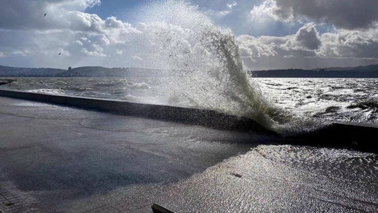 izmir deniz seferleri iptal