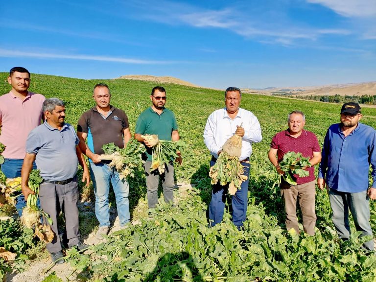 “Patates ve pancar tesliminde çiftçiler çok fire kayıpları yaşadı”