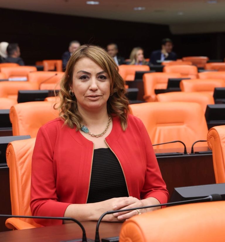 chp milletvekili kara