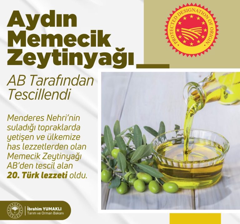 Aydın Memecik Zeytinyağı, AB’den coğrafi işaret tescili aldı