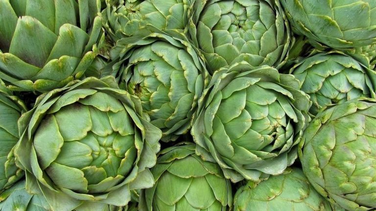 Elde kalan enginar karakılçığa yöneltti