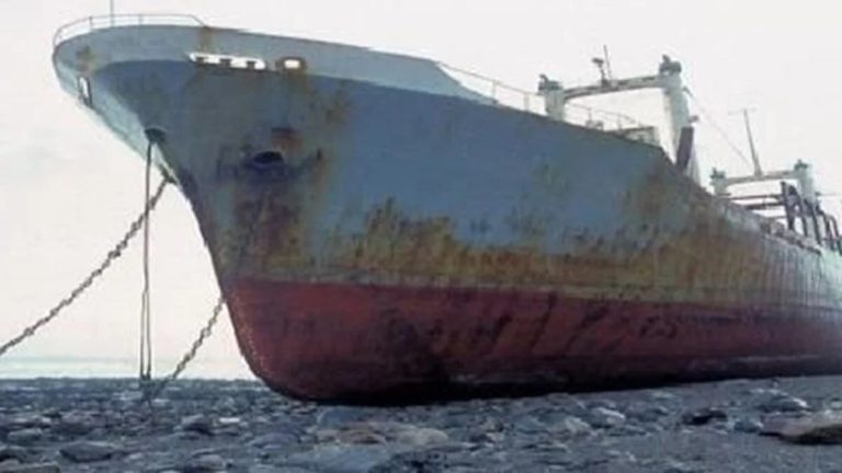 Yerli gemilerin hurda limiti artırıldı