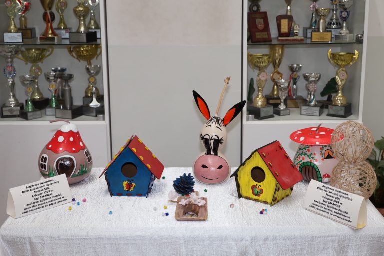 Eksiklik değil farklılık sergisi
