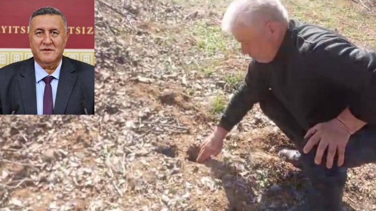 “Doğanın dengesi bozuldukça sorunlar artıyor”