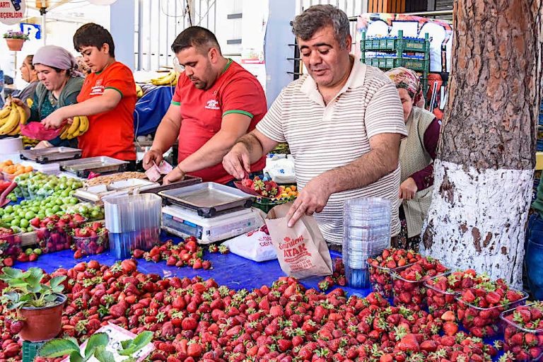 Emiralem çileği, yüz binleri Menemen’de buluşturdu