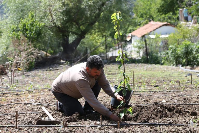 Kırsaldaki istihdam olanağına ‘seracılık’ çözümü