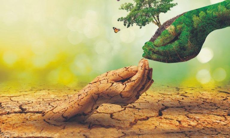 Kuraklığa karşı ‘bölgesel ürün deseni’ önerisi