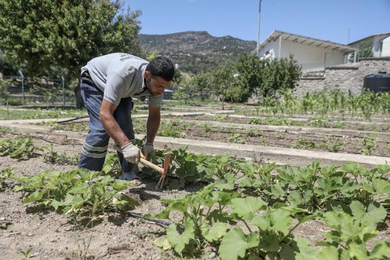 Karşıyaka’da tohumlar toprakla buluştu