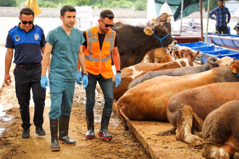 Buca’da kurban pazarlarında sıkı denetim
