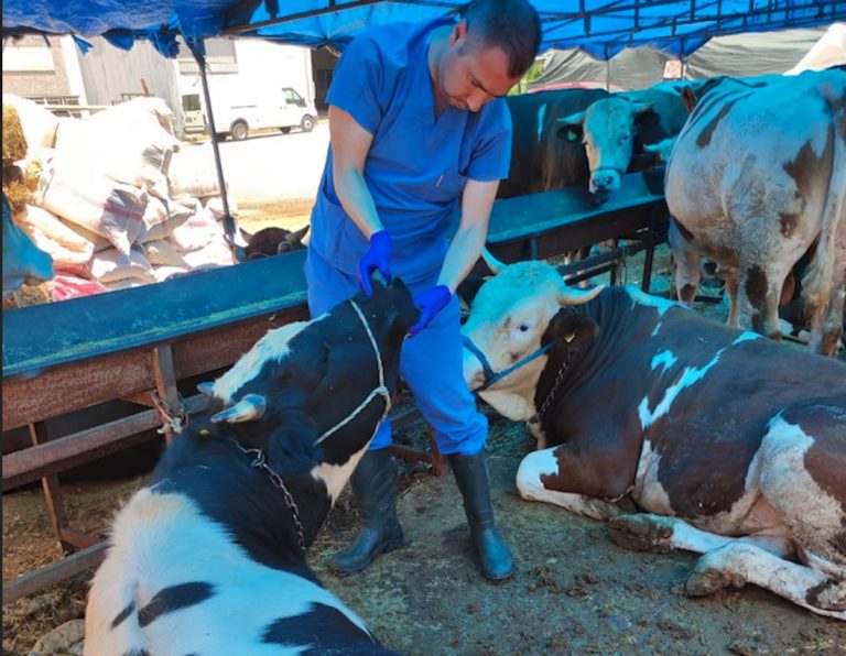 Kurban Bayramı öncesi denetimler hız kesmeden devam ediyor