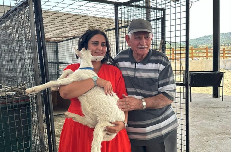 Sahipsiz kediler için anlamlı bağış