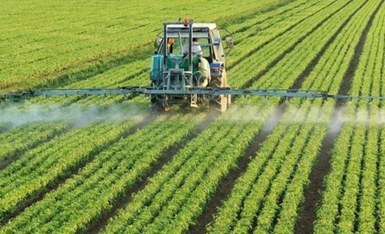 Bitki çeşitlerinin kayıt altına alınması için başvurular TTSM’ye yapılacak 