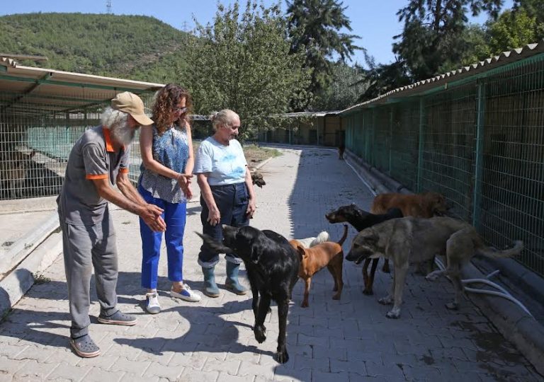 Başkan Ünsal: Yaşam hakkı kutsaldır