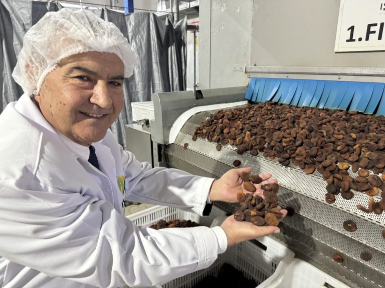 6 aylık kuru meyve ihracatı 829 milyon dolara yükseldi