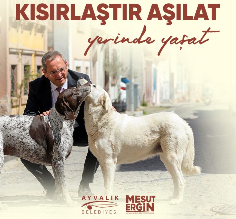 “Sokak hayvanlarının yaşama hakkı kutsal ve dokunulmazdır”
