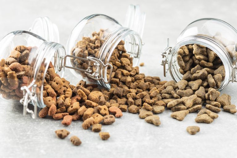 Türkiye’nin 6 aylık kedi köpek maması ihracatı %27 arttı