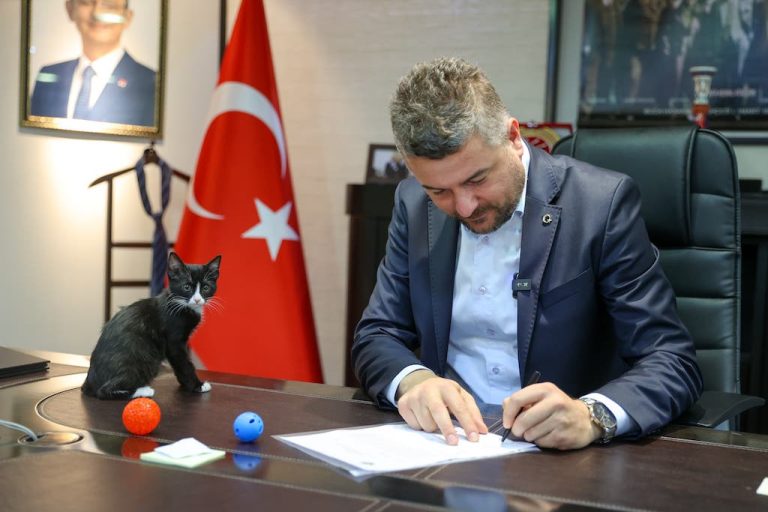 “Önemli olan öldürmek değil, yaşatmaktır”