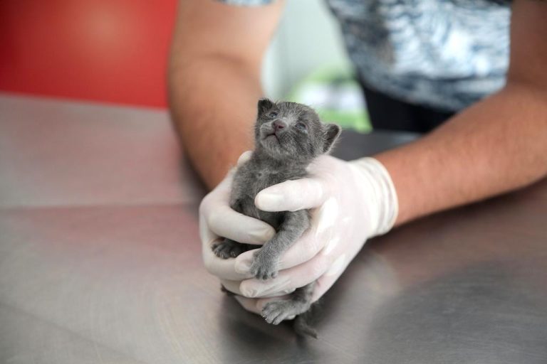 Konak’ta çöpten ‘Umut’ doğdu