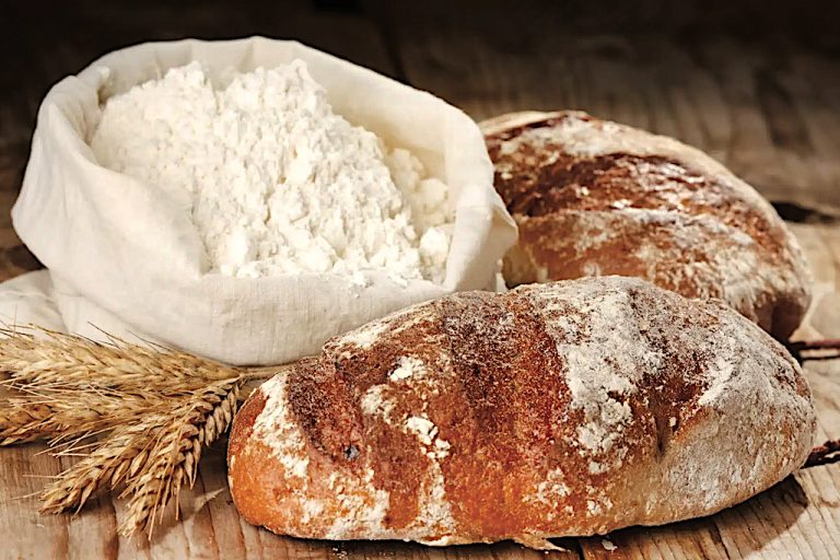 Mersin Büyükşehir Belediye Başkanlığı glutensiz ekmek ve glutensiz un satın alacak