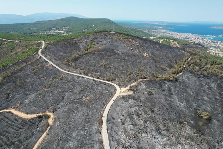 Urla’da gündem yeniden ormanlaştırma 