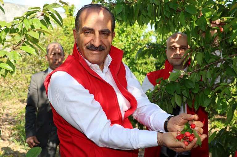 Kiraz ihracatı 209 milyon dolara ulaştı