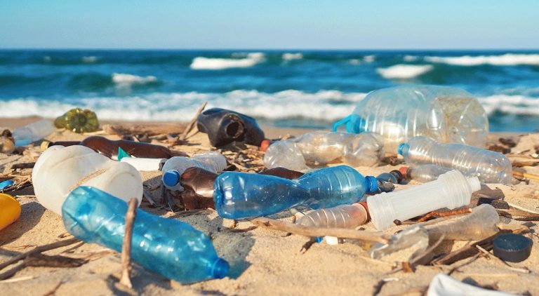 Deniz ekosistemini korumanın anahtarı: Kıyı kirliliğiyle mücadele