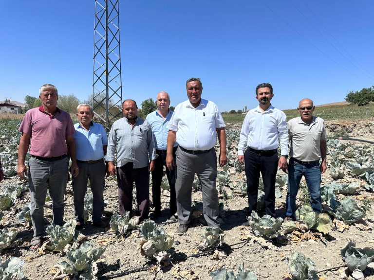 Lahana da üreticisinin yüzünü güldürmedi