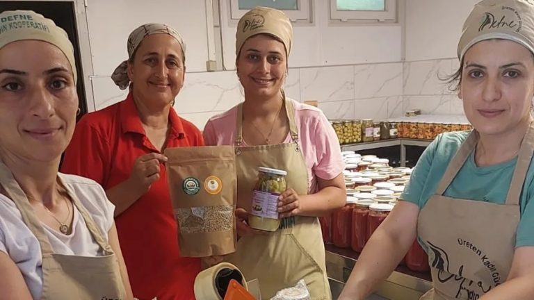 KÜAD’dan Hatay’daki tarım sektörüne destek projesi 