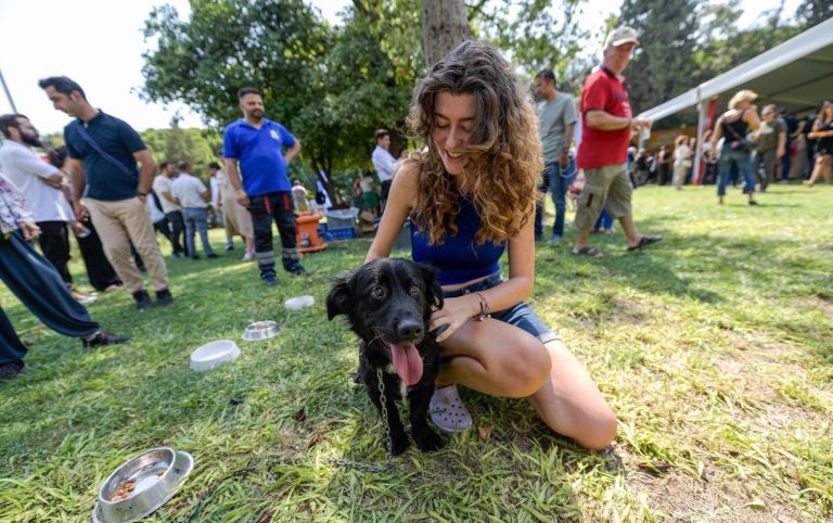 İzmir’de ‘Patili Perşembe’ ile can dostlar yuvalarına kavuştu