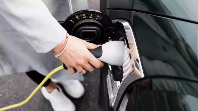 Türkiye elektrikli araçları sevdi
