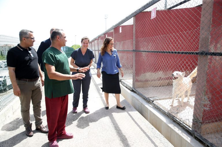 Karşıyaka, Türkiye’ye örnek bir hayvan kompleksine kavuşacak
