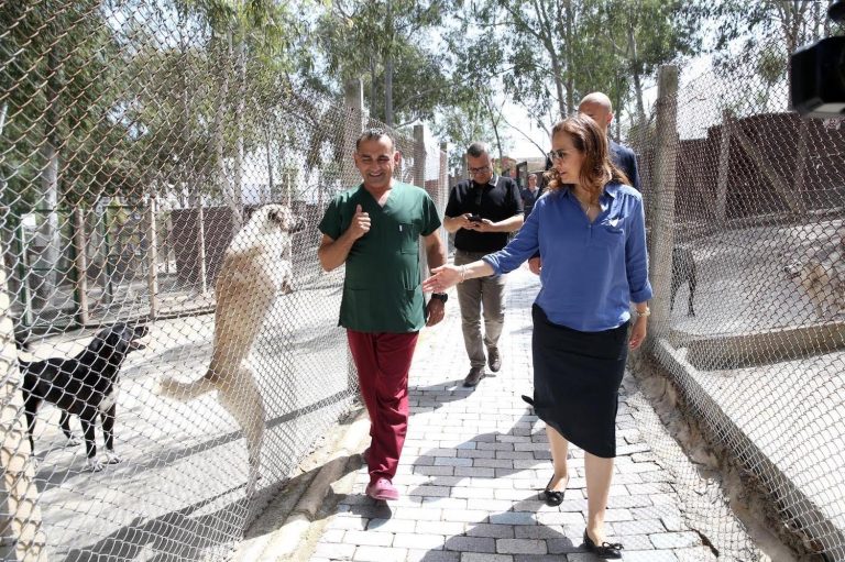 Karşıyaka Belediyesi yeni hayvan barınağı için düğmeye bastı
