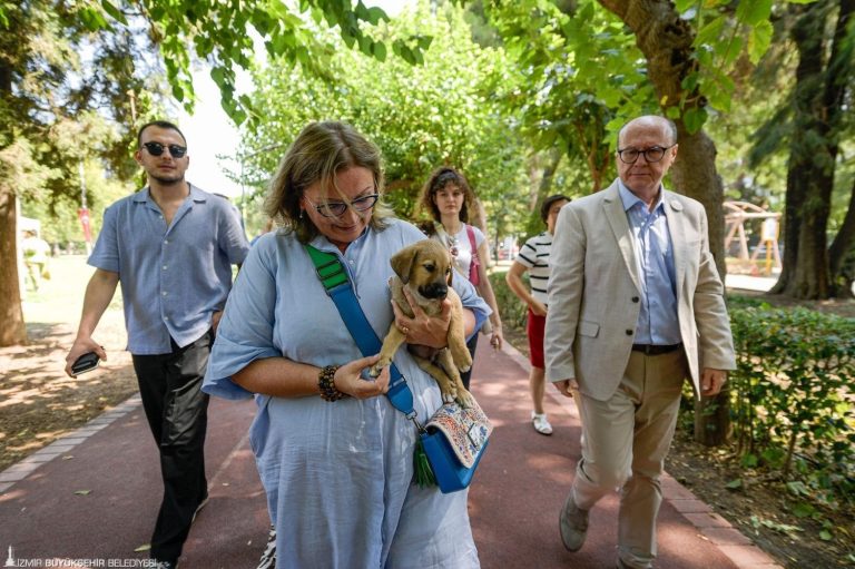 İzmir’de sahipsiz köpek yönetimi başlıyor