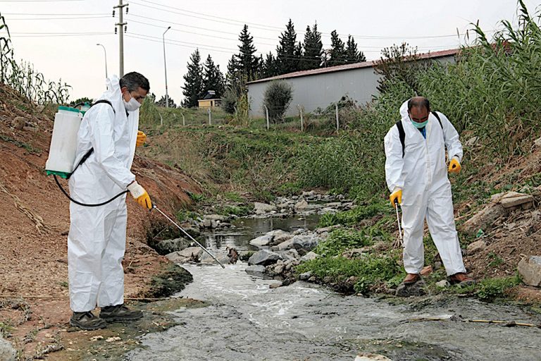 Çınarcık Belediyesi vektörel mücadele hizmeti alacak