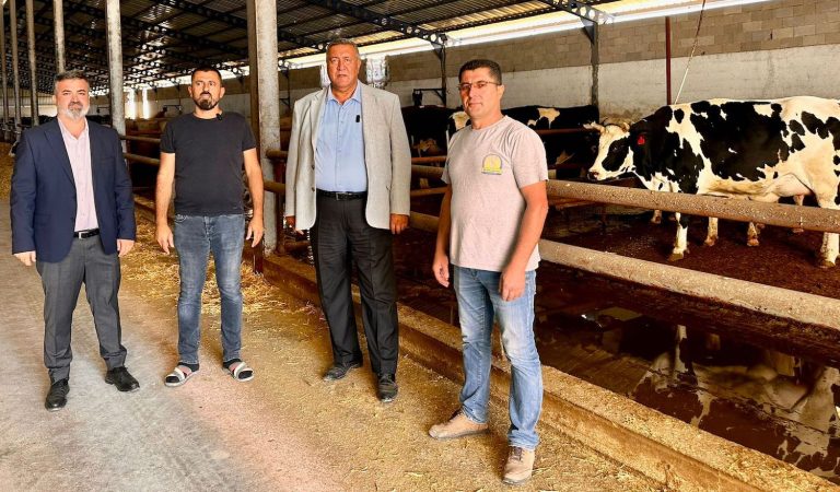 Gürer: Hayvancılıkta alarm zilleri çalıyor