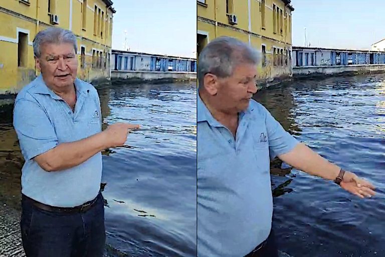 Prof. Dr. Yaşar: Arıtmaları çalıştırın İzmir Körfez’i maviye dönsün