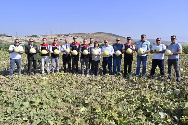 Foça’nın 5. Geleneksel Kavun Hasat Şenliği’ne coşkulu kutlama