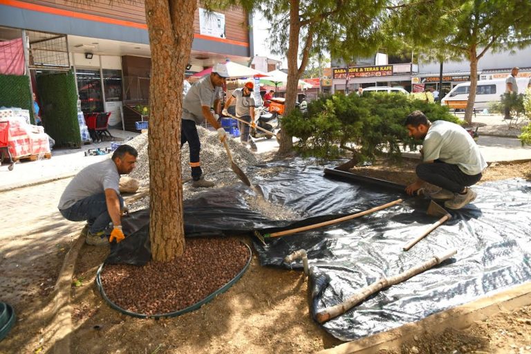 Karabağlar’ın parkları Kurakçıl Peyzaj uygulamasıyla yenileniyor