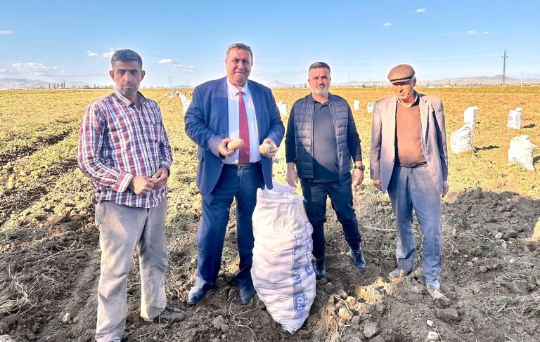 Üretici, patatesi depolamak zorunda kalıyor