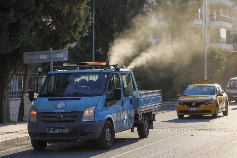 Buca’da beyaz sineklere karşı ilaçlama çalışması