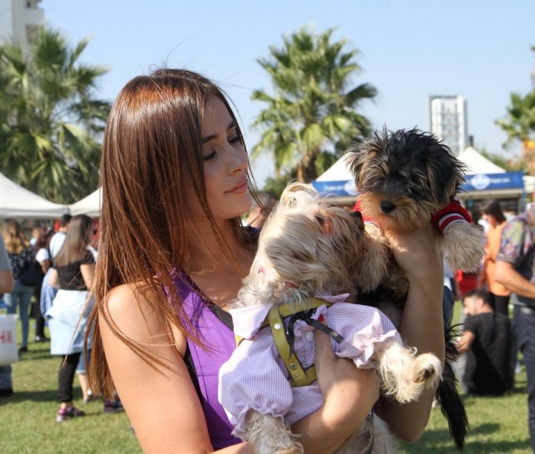 Can dostlar ‘Patifest’te yeni yuvalara kavuşacak