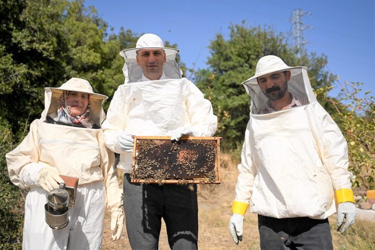 Bornova’da bal hasadı başladı