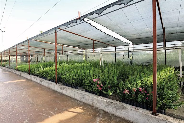 Elazığ Orman Bölge Müdürlüğü gölgelik yaptıracak