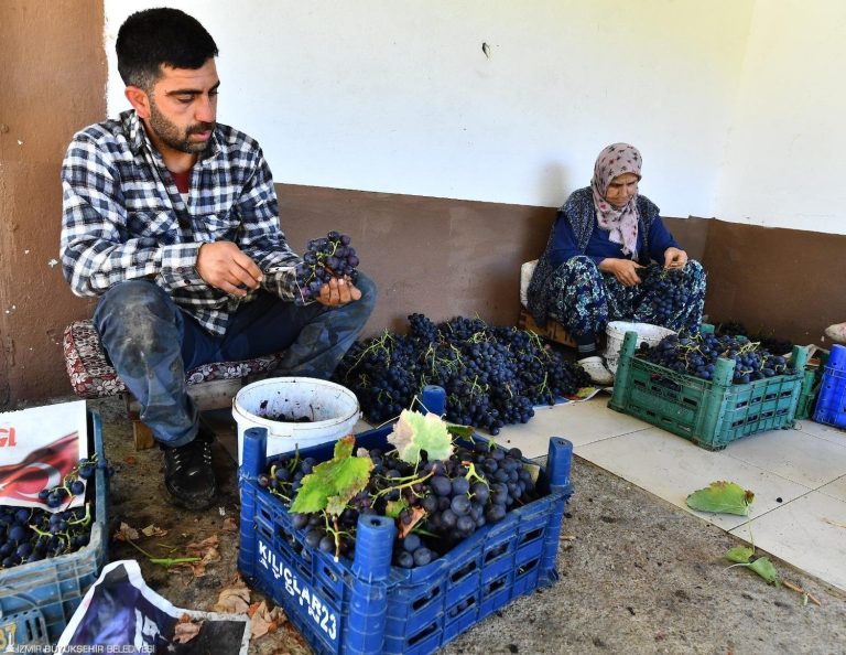 Hem üreticiye hem dar gelirliye destek